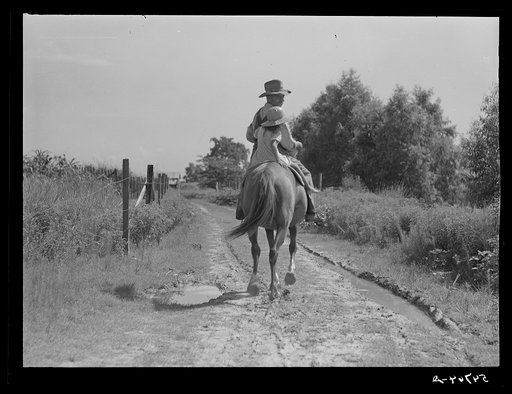 Untitled photo, possibly related to: Melrose, Natchitoches Parish, Louisiana. Mulatto returning home after buying supplies at country store