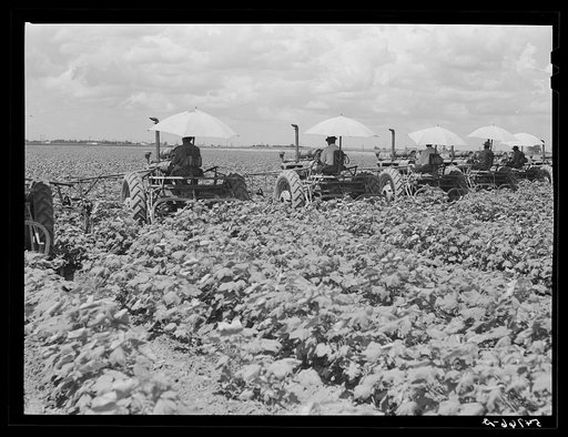 Untitled photo, possibly related to: Tractors have taken the place of the mule and the plow on Hopson Plantation where day labor is used almost exclusively, displacing the old tenants on the place. Clarksdale, Mississippi Delta, Mississippi