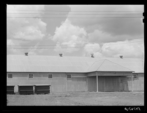 Untitled photo, possibly related to: Seed house and portable cotton houses on Hopson cotton plantation. Clarksdale, Mississippi Delta, Mississippi
