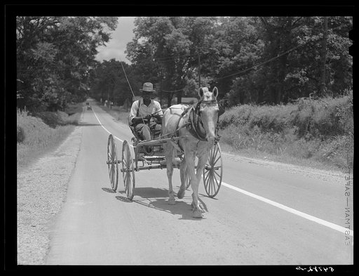 Returning home from town on Saturday afternoon in buggy. Near Port Gibson, Mississippi