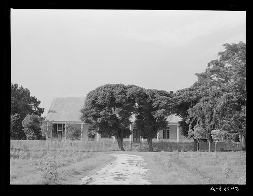 Melrose, Natchitoches Parish, Louisiana. Old plantation home in cotton region, La Cote Joyeuse Bermuda, belonging to Prudhomme family