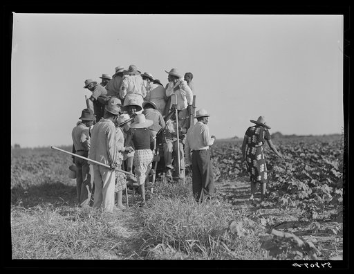Day labor now is used almost exclusively on Hopson Plantation, displacing the old tenants on the place. Cotton choppers are hired in nearby towns for seventy-five cents to one dollar a day and trucked to the plantation. Clarksdale, Mississippi Delta, Mississippi