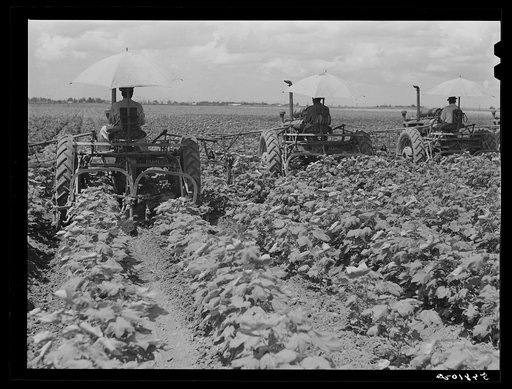 Tractors have taken the place of the mule and the plow on Hopson Plantation where day labor is used almost exclusively, displacing the old tenants on the place. Clarksdale, Mississippi Delta, Mississippi