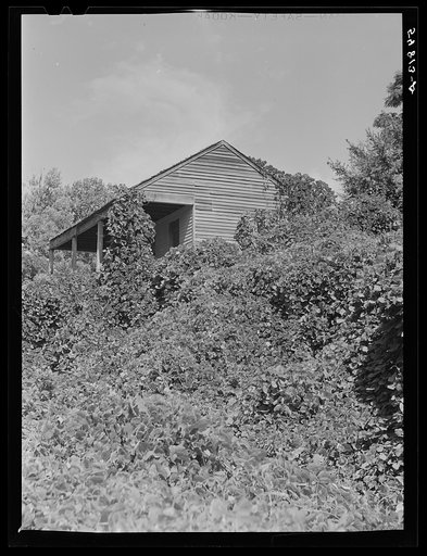 Rodney, Mississippi