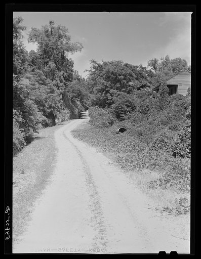 Untitled photo, possibly related to: Rodney, Mississippi