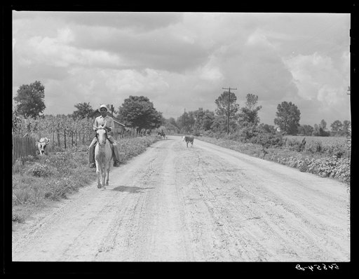Melrose, Natchitoches Parish, Louisiana. Going to crossroads store for supplies