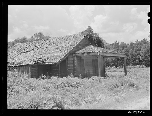 Untitled photo, possibly related to: Rodney, Mississippi