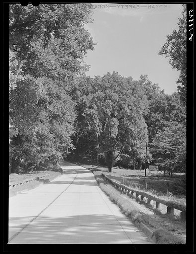 Untitled photo, possibly related to: Natchez, Mississippi