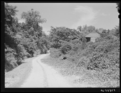 Rodney, Mississippi