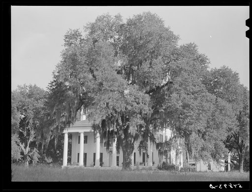 Untitled photo, possibly related to: Natchez, Mississippi