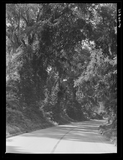 Natchez, Mississippi