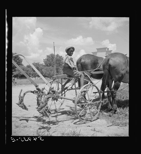 Untitled photo, possibly related to: After the noon hour in the plantation yard, the mules, tractors and cultivators are taken out to finish the day's work. King and Anderson Plantation, near Clarksdale. Mississippi Delta, Mississippi