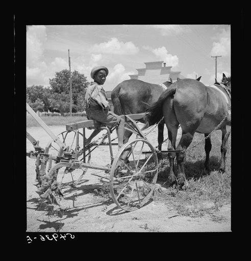 After the noon hour in the plantation yard, the mules, tractors and cultivators are taken out to finish the day's work. King and Anderson Plantation, near Clarksdale. Mississippi Delta, Mississippi