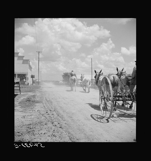 After the noon hour in the plantation yard, the mules, tractors and cultivators are taken out to finish the day's work. King and Anderson Plantation, near Clarksdale. Mississippi Delta, Mississippi