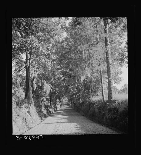 Untitled photo, possibly related to: Natchez, Mississippi
