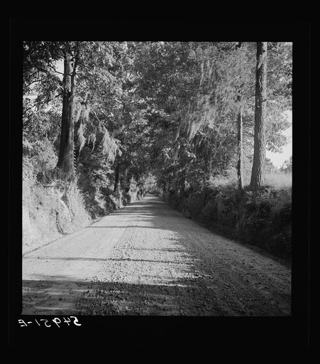 Untitled photo, possibly related to: Natchez, Mississippi