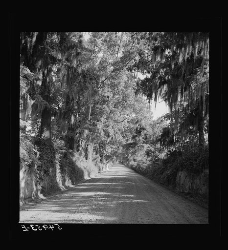 Untitled photo, possibly related to: Natchez, Mississippi