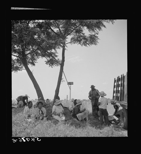 Day labor now is used almost exclusively on Hopson Plantation, displacing the old tenants on the place. Cotton choppers are hired in nearby towns for seventy-five cents to one dollar a day and trucked to the plantation. Clarksdale, Mississippi Delta, Mississippi