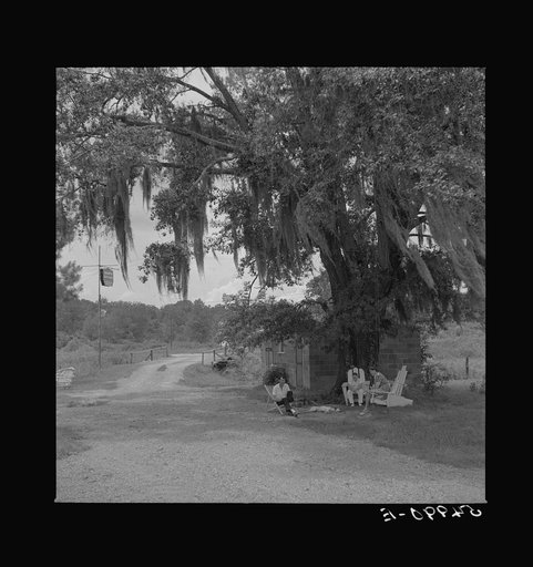 Untitled photo, possibly related to: Natchez, Mississippi