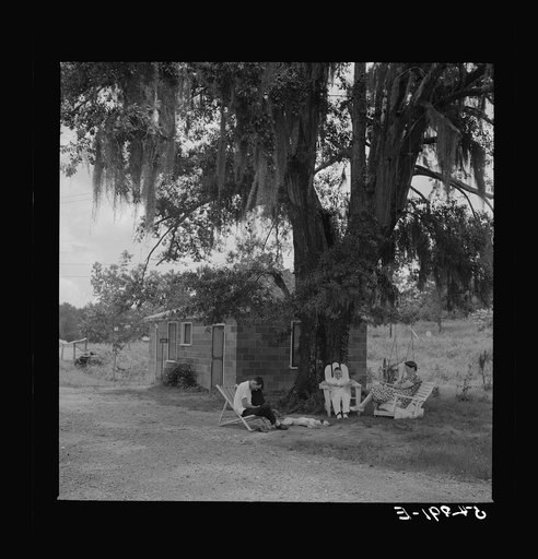 Untitled photo, possibly related to: Natchez, Mississippi