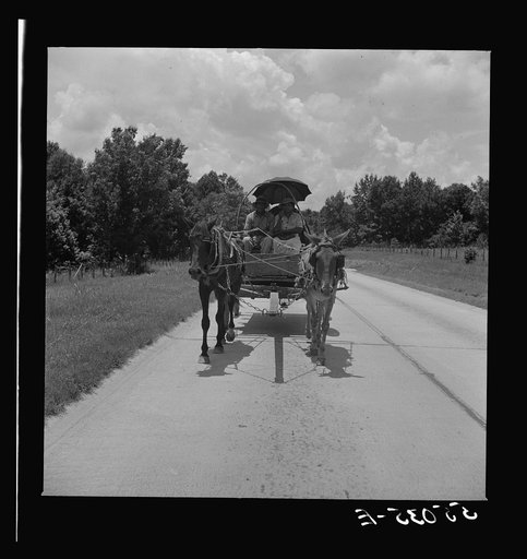 Untitled photo, possibly related to: Natchez, Mississippi