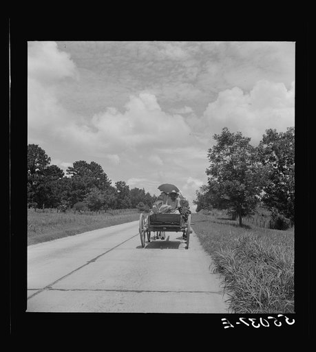 Untitled photo, possibly related to: Natchez, Mississippi