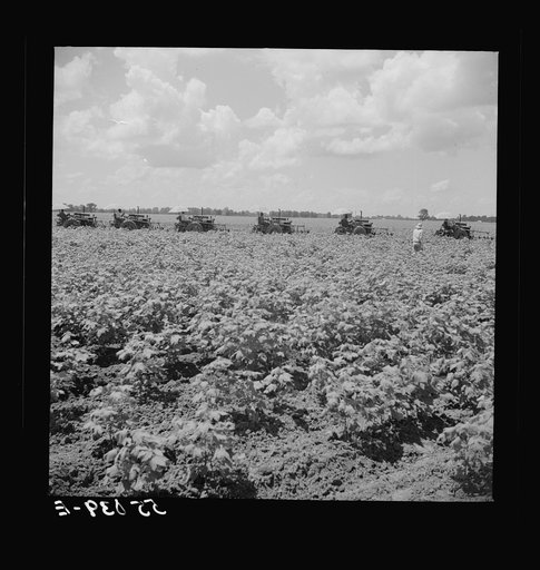 Untitled photo, possibly related to: Natchez, Mississippi