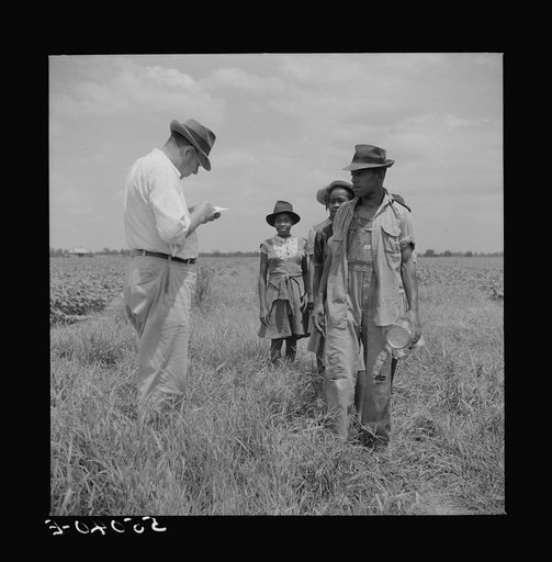 Untitled photo, possibly related to: Day labor is used almost exclusively on Hopson plantation, displacing the old tenants on the place. Cotton choppers are hired in nearby towns for seventy-five cents to one dollar a day and trucked to the plantation. Clarksdale, Mississippi Delta, Mississippi