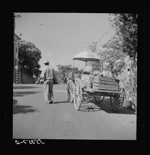Untitled photo, possibly related to: Natchez, Mississippi