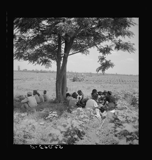 Day labor is used almost exclusively on Hopson plantation, displacing the old tenants on the place. Cotton choppers are hired in nearby towns for seventy-five cents to one dollar a day and trucked to the plantation. Clarksdale, Mississippi Delta, Mississippi