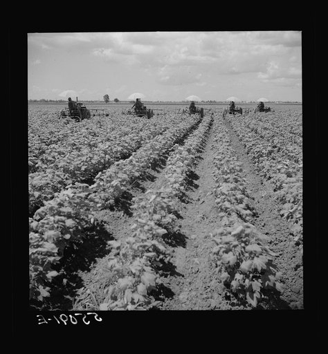 Untitled photo, possibly related to: Tractors have taken the place of the mule and the plow on Hopson plantation, where day labor is used almost exclusively, displacing the old tenants on the place. Clarksdale, Mississippi Delta, Mississippi