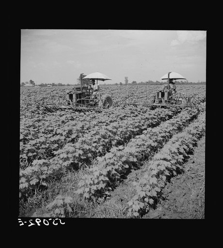 Untitled photo, possibly related to: Tractors have taken the place of the mule and the plow on Hopson plantation, where day labor is used almost exclusively, displacing the old tenants on the place. Clarksdale, Mississippi Delta, Mississippi