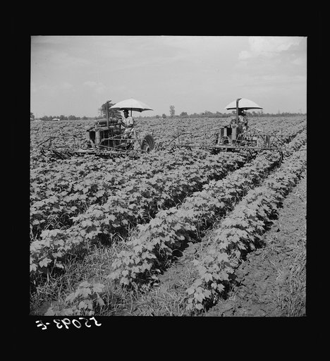 Tractors have taken the place of the mule and the plow on Hopson plantation, where day labor is used almost exclusively, displacing the old tenants on the place. Clarksdale, Mississippi Delta, Mississippi