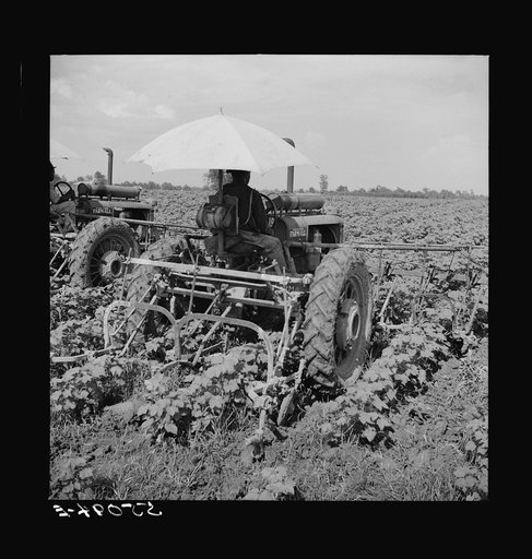 Tractors have taken the place of the mule and the plow on Hopson plantation, where day labor is used almost exclusively, displacing the old tenants on the place. Clarksdale, Mississippi Delta, Mississippi