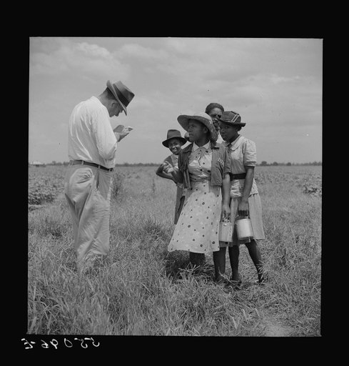 Day labor now is used almost exclusively on Hopson Plantation, displacing the old tenants on the place. Cotton choppers are hired in nearby towns for seventy-five cents to one dollar a day and trucked to the plantation. Clarksdale, Mississippi Delta, Mississippi