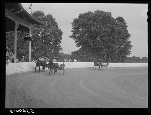 Untitled photo, possibly related to: Sulky of harness races. Horse show, Shelby County fair, Shelbyville, Kentucky