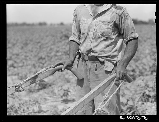 Untitled photo, possibly related to: King and Anderson Plantation. Clarksdale, Mississippi Delta, Mississippi