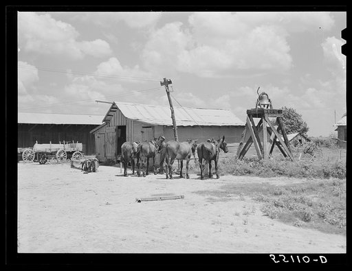Knowlton Plantation. Perthshire, Mississippi Delta, Mississippi