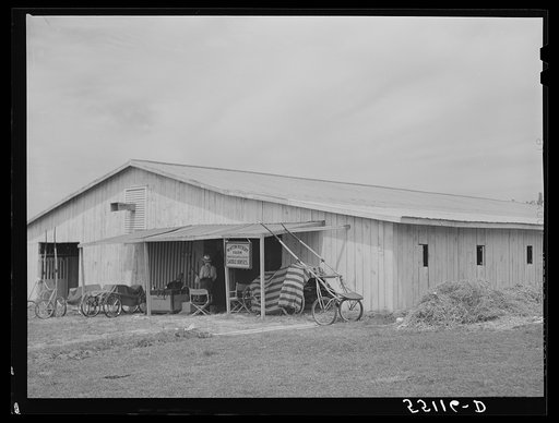 Untitled photo, possibly related to: Stables at the Shelby County horse show and fair. Shelbyville, Kentucky