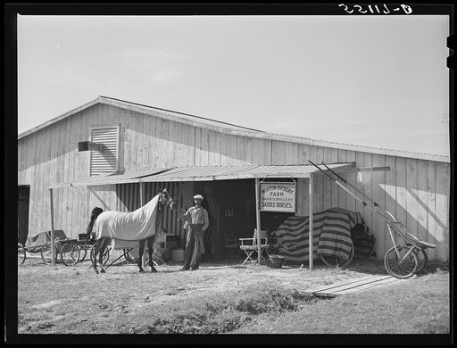 Stables at the Shelby County horse show and fair. Shelbyville, Kentucky