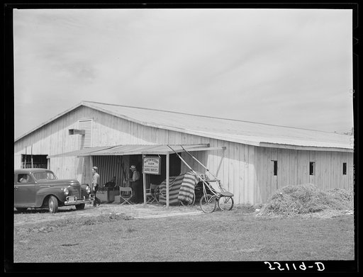 Untitled photo, possibly related to: Stables at the Shelby County horse show and fair. Shelbyville, Kentucky