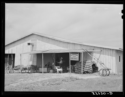 Stables at the Shelby County horse show and fair. Shelbyville, Kentucky