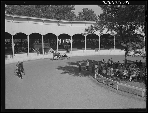 Untitled photo, possibly related to: Winner coming out of the ring at the horse show. Shelby County fair, Shelbyville, Kentucky