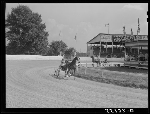 Untitled photo, possibly related to: Sulky of harness races. Horse show, Shelby County fair, Shelbyville, Kentucky
