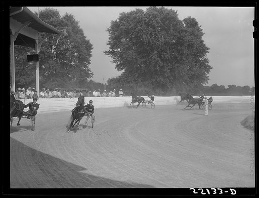 Sulky of harness races. Horse show, Shelby County fair, Shelbyville, Kentucky