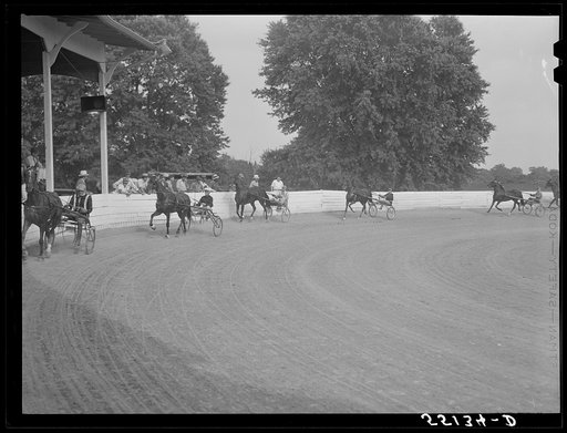Untitled photo, possibly related to: Sulky of harness races. Horse show, Shelby County fair, Shelbyville, Kentucky
