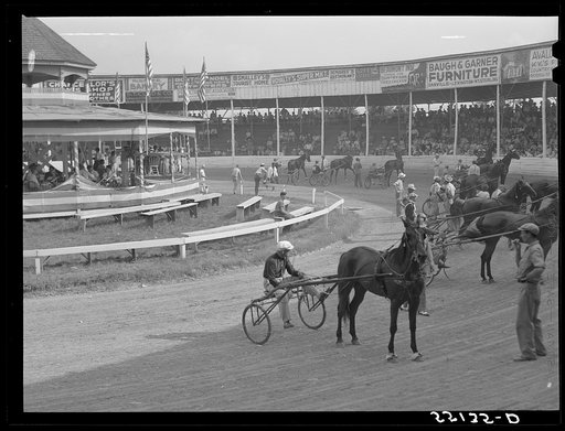 Sulky of harness races. Horse show, Shelby County fair, Shelbyville, Kentucky