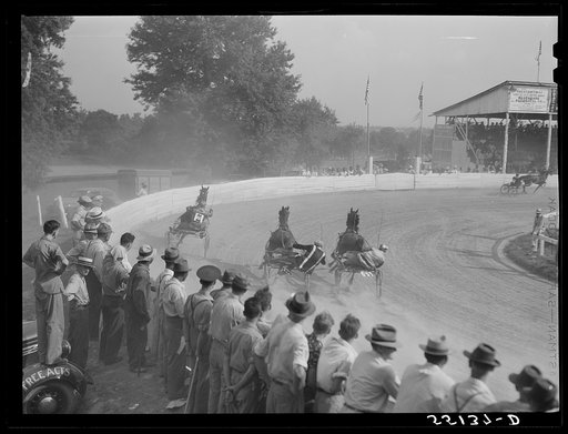 Sulky of harness races. Horse show, Shelby County fair, Shelbyville, Kentucky