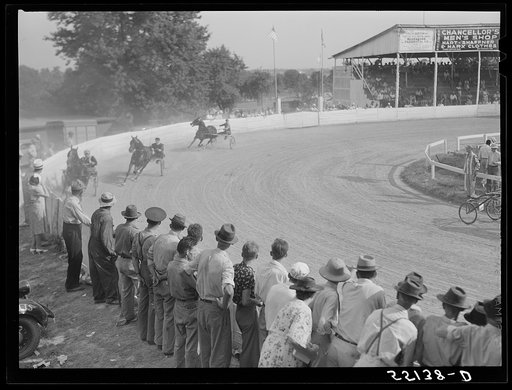 Sulky of harness races. Horse show, Shelby County fair, Shelbyville, Kentucky