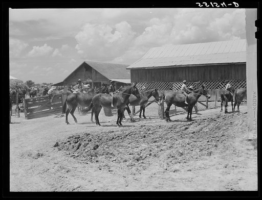 King and Anderson Plantation. Clarksdale, Mississippi Delta, Mississippi